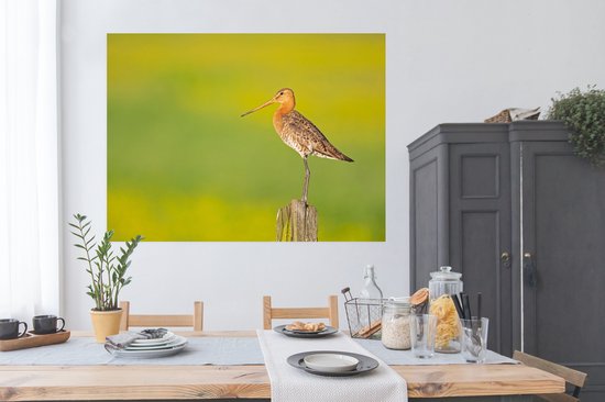 Poster Vogel - Dieren - Grutto - Paal - Groen - 160x120 cm XXL