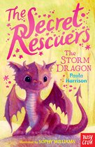 Secret Rescuers The Storm Dragon