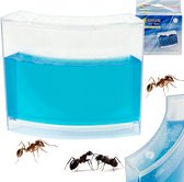 Playos® - Ferme de fourmis - Gel Blauw - Hôtel de fourmis - Colonie de fourmis - Jouets d'insectes - Visionneuse d'insectes - Jouets Éducatif - Ensemble d'expérimentation - Jouets STEM