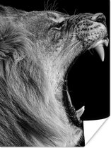 Poster Dieren - Leeuw - Zwart - Wit - Portret - 120x160 cm XXL