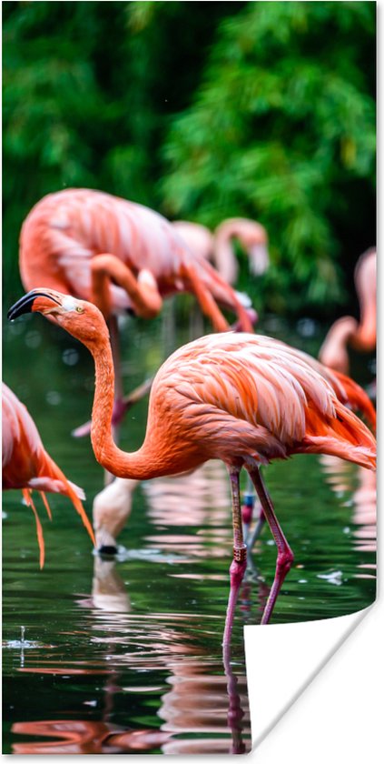 PosterMonkey - Poster - Fotolijst - Vogel - Water - Flamingo - Tropical - Dieren - 40x80 cm - Poster in lijst - Poster flamingo - Foto met lijst - Poster met kader
