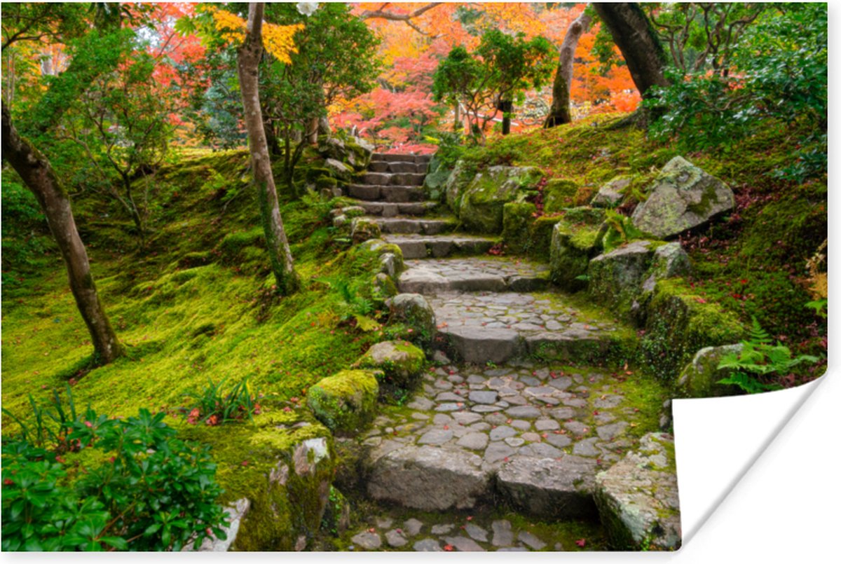 Poster Natuur - Stenen - Pad - Mos - Japans - 60x40 cm