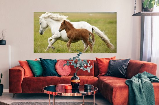 Affiche Paarden - Animaux - Herbe - 150x75 cm