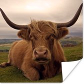 Affiche Highlander écossais - Animaux - Berg - 30x30 cm