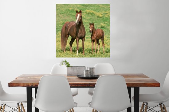 Affiche Paarden - Herbe - Marron - 75x75 cm