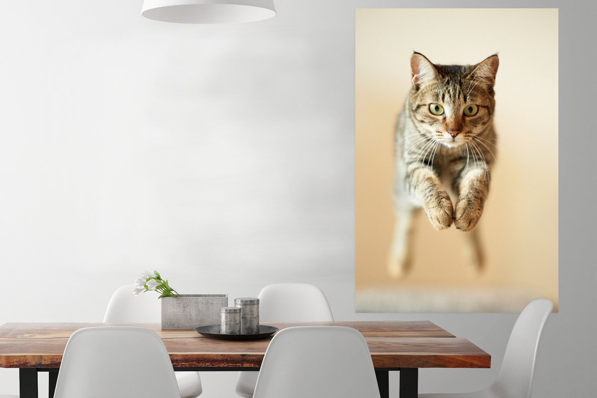 Onlayn porno kanallarni tomosha qiling