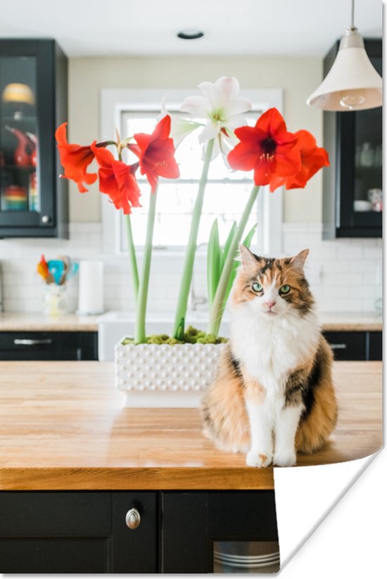 Kat zittend voor prachtige bloemen op keukentafel 80x120 cm - Foto print op Poster (wanddecoratie woonkamer / slaapkamer)