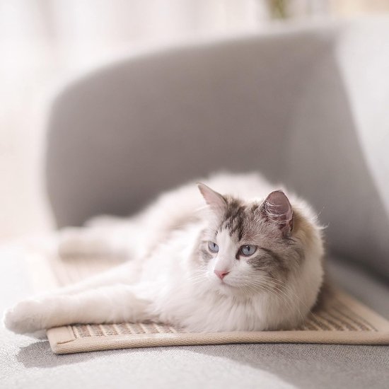 Bankbescherming kat, natuurlijke sisal kattenkrabmat, krasbescherming