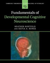 Cambridge Fundamentals of Neuroscience in Psychology - Fundamentals of Developmental Cognitive Neuroscience