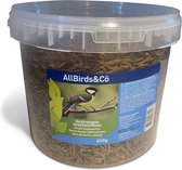 Allbirds&Co Gedroogde Meelwormen In Emmer - Voer - 850 g