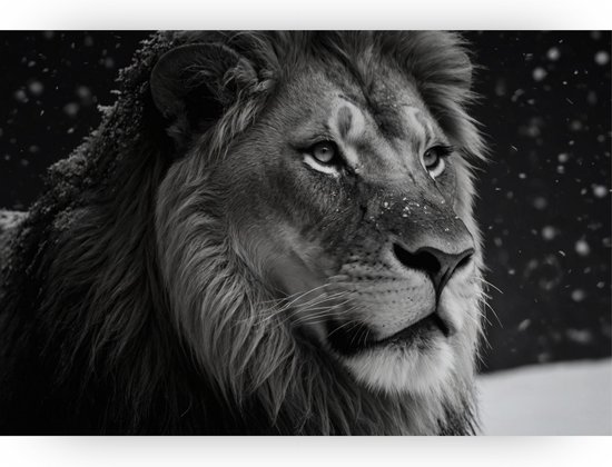 Leeuw in de winter - Zwart wit schilderij - Muurdecoratie dieren - Klassieke schilderijen - Canvas schilderij - Slaapkamer wanddecoratie - 150 x 100 cm 18mm