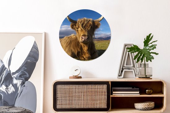 WallCircle - Stickers muraux muraux - Cercle de papier peint - Highlander écossais - Animaux - Herbe - 50x50 cm - Cercle mural - Autocollant - Autocollant de papier peint rond