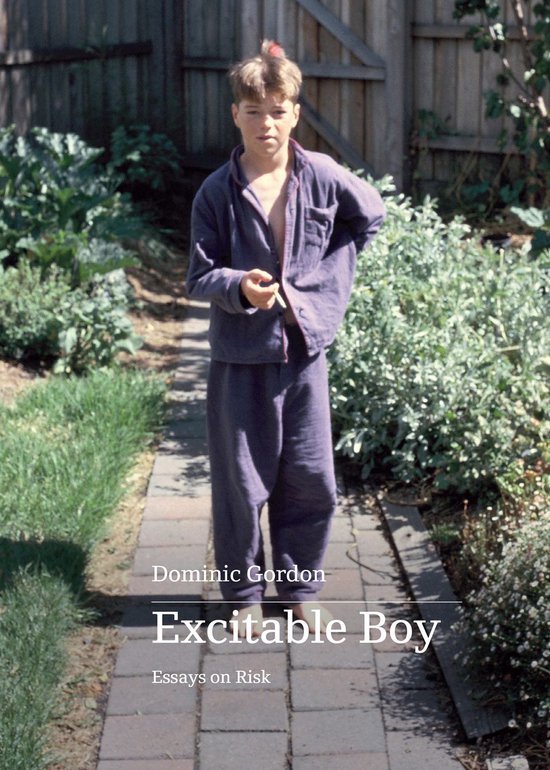 Excitable Boy - cover