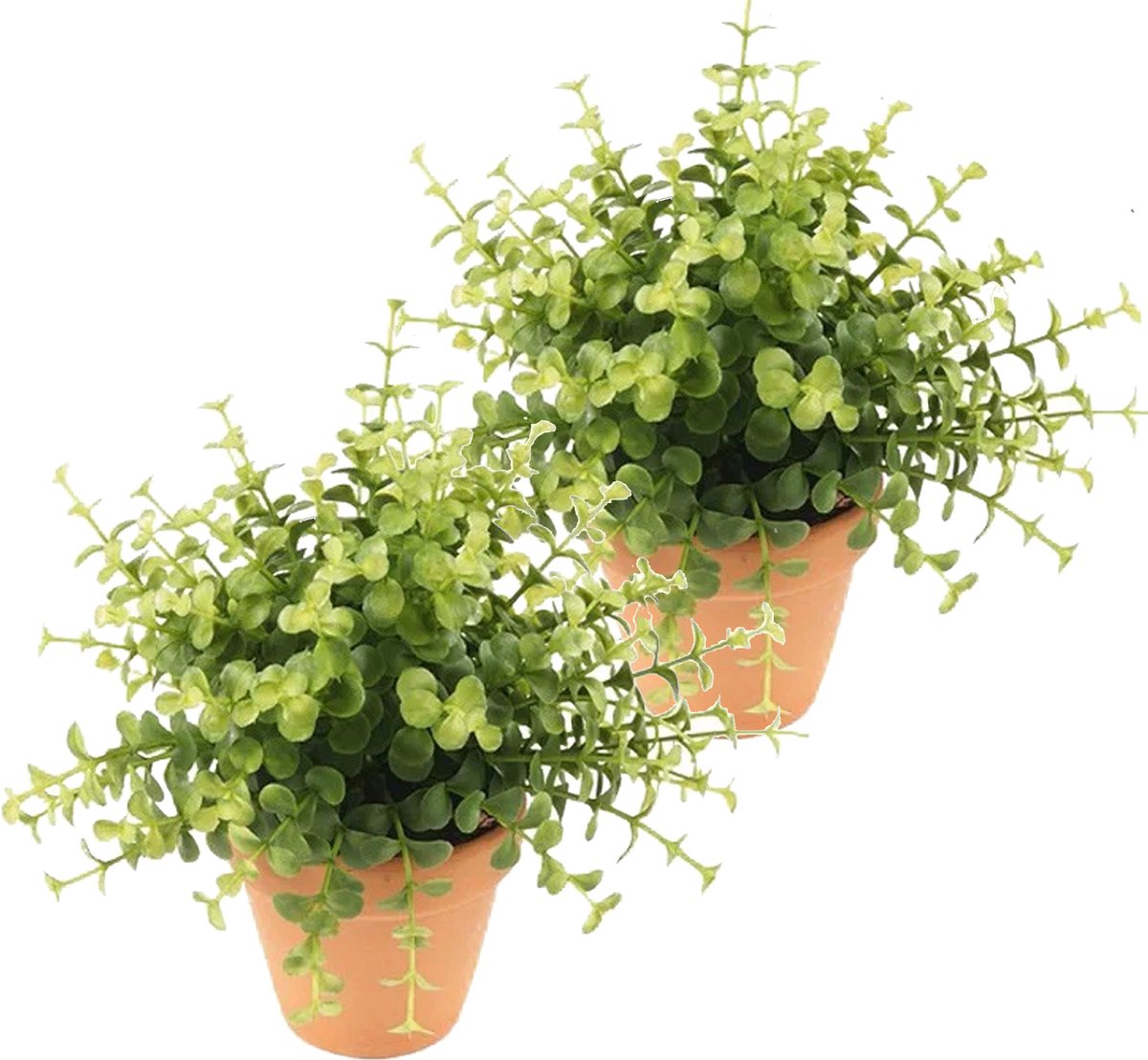 Kunstplant eucalyptus - 2x - groen - in terracotta pot - 20 cm