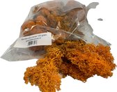 Rendiermos, mos Oranje 100 gram. Geschikt voor decoraties, mosschilderijen, moswanden, bloemstukjes