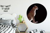 WallCircle - Wandcirkel ⌀ 140 - Cheeta - Dieren - Licht - Ronde schilderijen woonkamer - Wandbord rond - Muurdecoratie cirkel - Kamer decoratie binnen - Wanddecoratie muurcirkel - Woonaccessoires