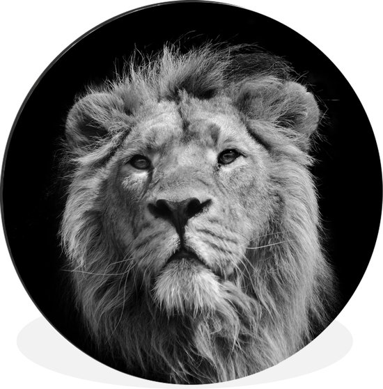 WallCircle - Wandcirkel - Muurcirkel - Aziatische leeuw tegen zwarte achtergrond in zwart-wit - Aluminium - Dibond - ⌀ 120 cm - Binnen en Buiten XXL