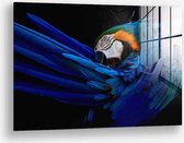 Wallfield™ - The Parrot | Glasschilderij | Muurdecoratie / Wanddecoratie | Gehard glas | 40 x 60 cm | Canvas Alternatief | Woonkamer / Slaapkamer Schilderij | Kleurrijk | Modern / Industrieel | Magnetisch Ophangsysteem