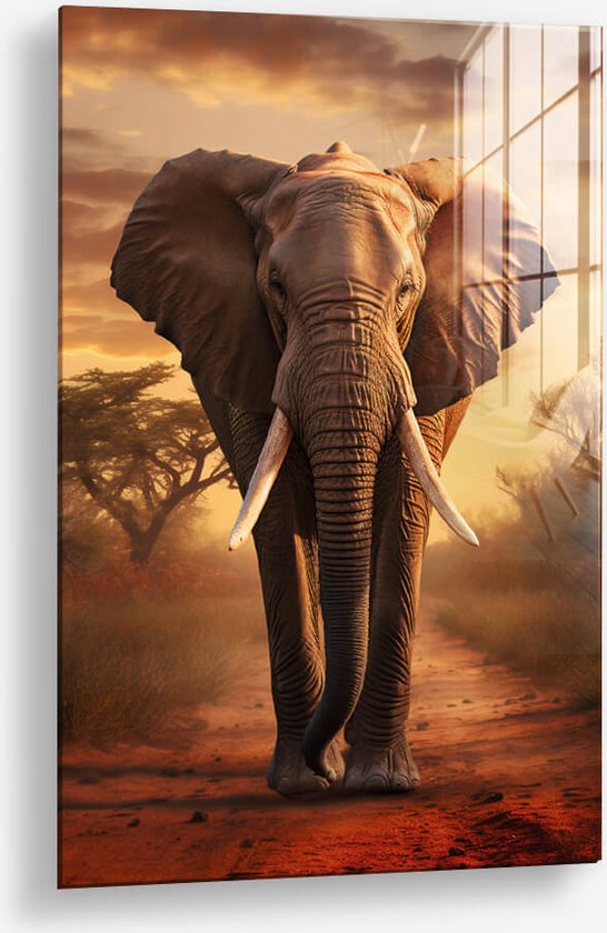 Wallfield™ - Elephant sur la route | Peinture sur verre | Verre trempé | 40 x 60 cm | Système de suspension magnétique