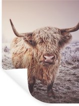 Muurstickers - Sticker Folie - Schotse Hooglanders - Sneeuw - Zon - 30x40 cm - Plakfolie - Muurstickers Kinderkamer - Zelfklevend Behang - Zelfklevend behangpapier - Stickerfolie