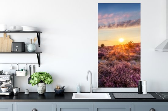 Heather fleurissant pendant le coucher du soleil aux Nederland