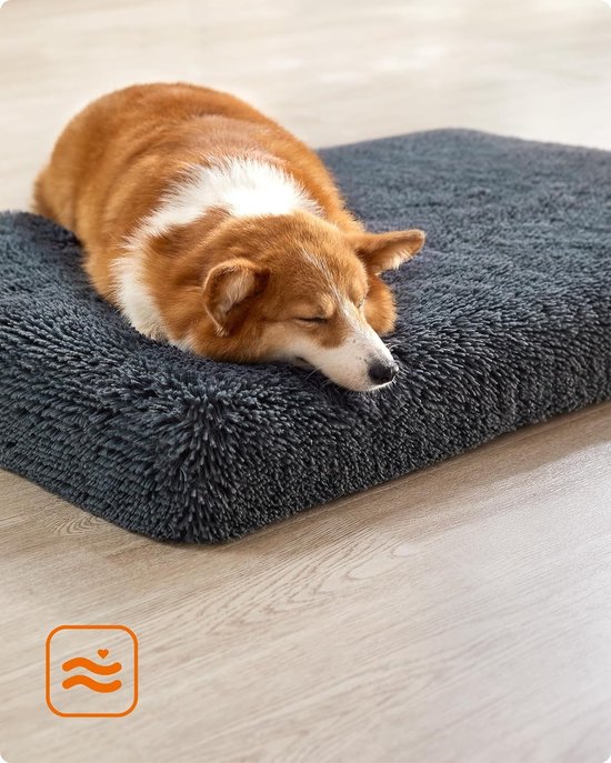 Feandrea hondenbed, pluche hondenkussen, hondenmat, hondenbank, voor huisdieren, hoes afneembaar en wasbaar, maat M, voor kleine en middelgrote honden, 80 x 50 x 8 cm, donkergrijs PGW211G02