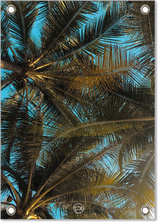 Tuinposter palm A1