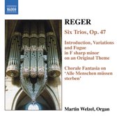 Martin Welzel - Reger: Organ Works Volume 6 (CD)