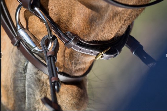 Têtière Elegant HFI