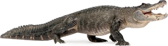 Krokodil Muursticker L