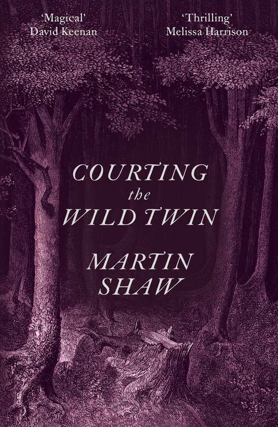 Courting the Wild Twin - cover