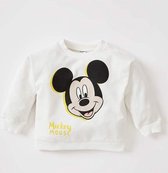 Mickey sweater jongens