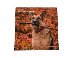 Duitse Herder Kalender - 44x22cm - Nietjes kalender - 6 talen - Inclusief boorgaatje - 1 September 2024 t/m 31 December 2025