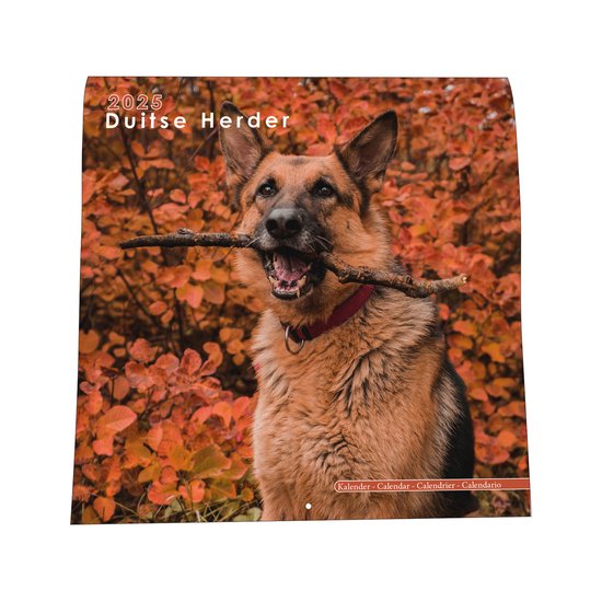 Duitse Herder Kalender - 44x22cm - Nietjes kalender - 6 talen - Inclusief boorgaatje - 1 September 2024 t/m 31 December 2025
