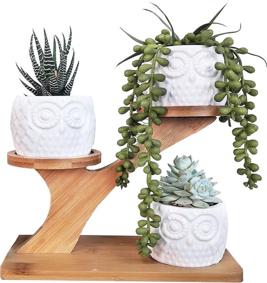 1 Set Uil Succulente Potten, 3 Stuks Keramische Plantenpotten Met Bamboe Schoteltjes Staan Houder Combinatie Plantenpot Witte Moderne Creatief Decoratieve Potbloempot Voor Thuis Kantoor