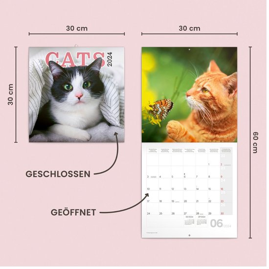 Schattige