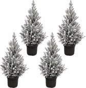 Kerstboom pakket - Picea met sneeuw - Potmaat 19cm - Hoogte 60cm