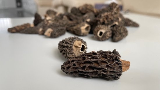 Morilles séchées 100g - Morilles séchées - Morchella Conica ...