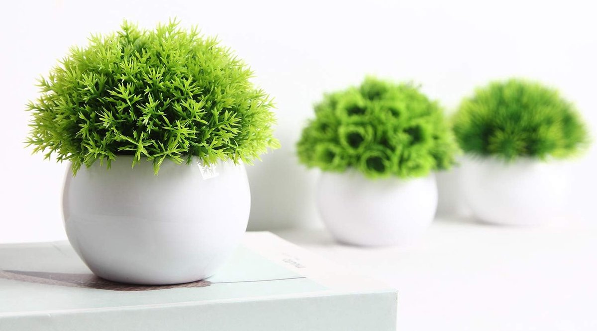 Medinella kunstplant 65cm Deluxe