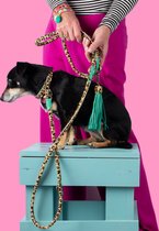 DWAM Dog with a Mission Hondenriem – Riem voor honden – Dierenprint – Leer – L – 200 x 1,4 cm – Extra Lange Amsterdam