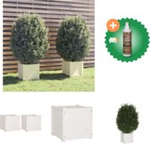 vidaXL Plantenbakken 2 st 40x40x40 cm massief grenenhout wit Bloempot Inclusief Houtreiniger en verfrisser