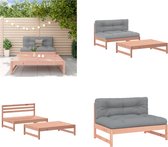 vidaXL 2-delige Loungeset met kussens massief douglashout - Loungeset - Loungesets - Lounge Set - Tuinset