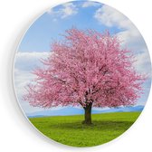 Artaza Forex Muurcirkel Roze Sakura Bloesem Boom In Het Groene Veld - 50x50 cm - Klein - Wandcirkel - Rond Schilderij - Muurdecoratie Cirkel