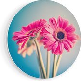 Artaza Forex Muurcirkel Twee Roze Anjers - Bloemen - 50x50 cm - Klein - Wandcirkel - Rond Schilderij - Muurdecoratie Cirkel