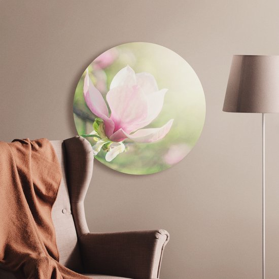 Artaza Forex cercle mural Bloem de magnolia rose - 40x40 cm - Klein - cercle mural - peinture ronde - cercle de Décoration murale