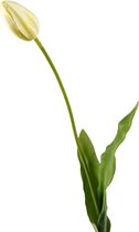 Viv! Home Luxuries Franse Tulp - zijden bloem - wit groen - 66cm