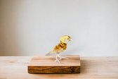 Koolmees Glazen Vogel - glasbeeldje - glassculptuur - Vogel - Vaderdag - Vogeltjes - vogel van glas