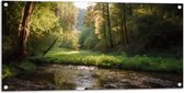 Tuinposter – Bos - Natuur - Water - Beekje - Stenen - Bomen - 100x50 cm Foto op Tuinposter (wanddecoratie voor buiten en binnen)