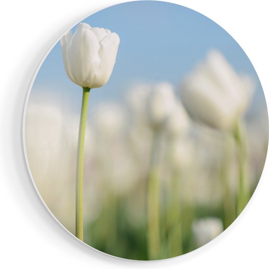 Artaza Muurcirkel - Witte Tulpen - Bloemen - Wandcirkel - Rond Schilderij