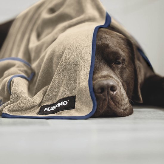 Bruine hond ligt languit met een beige handdoek met blauwe rand om zich heen geslagen.